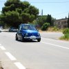 Montevago 2010 (482)